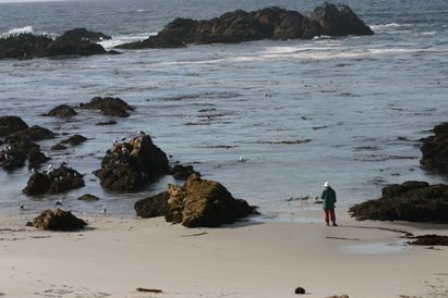 Beach Solitude